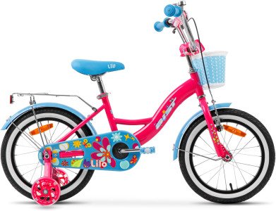 AIST Lilo 18 2025